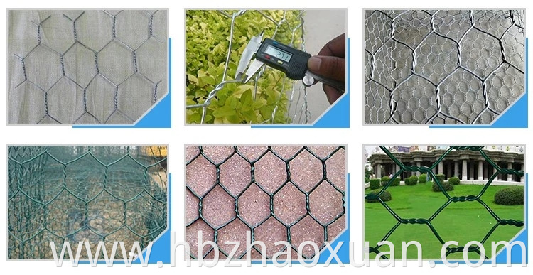 High Quality Chicken Wire Net Craft Wire Mesh Lightweight Galvanized Hexagonal Wire Mesh For Sale